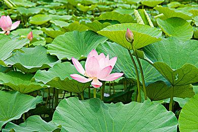 《生化危机4：重制版》PS版容量曝光 PS5约58G